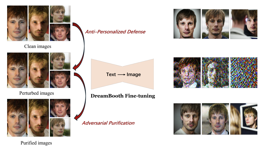 Fragile by Design: On the Limits of Adversarial Defenses in Personalized DreamBooth Generation