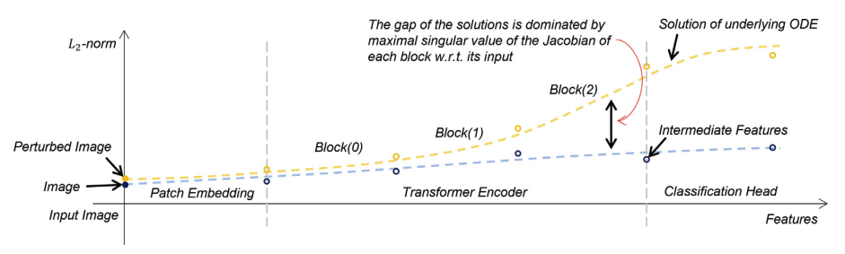 ODE4ViTRobustness: A Tool for Understanding Adversarial Robustness of Vision Transformers